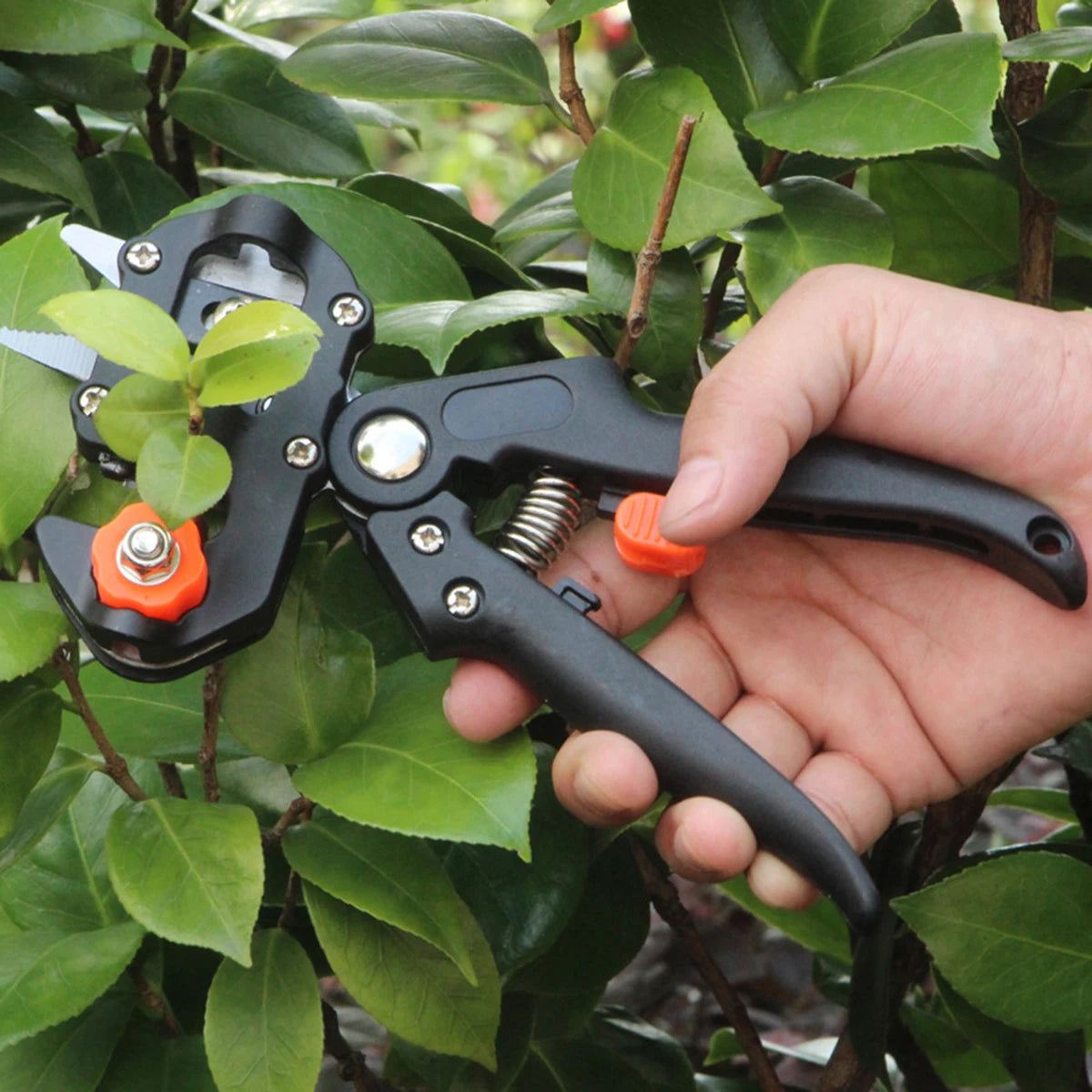 Fruit and Tree Scissor chopper